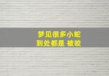 梦见很多小蛇到处都是 被咬